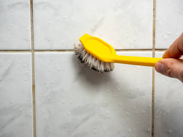 Best Toxic Mold Removal  in Elburn, IL
