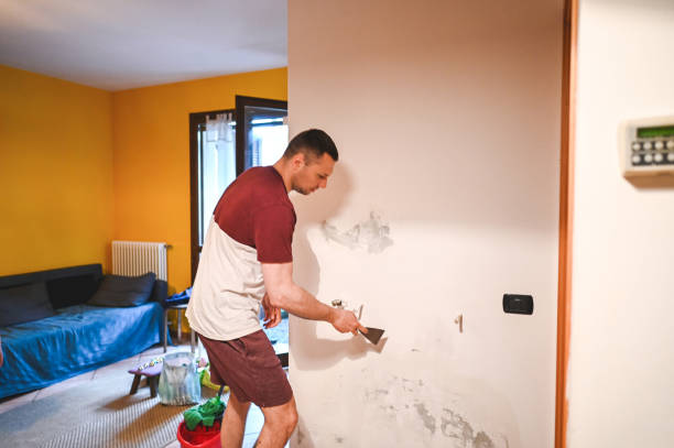 Best Fast Mold Removal  in Elburn, IL